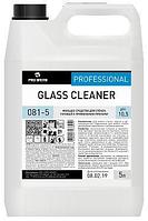 GLASS CLEANER Әйнектер мен айналарға арналған аммиакты спирті бар жуғыш зат