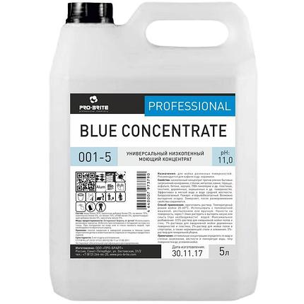 BLUE CONCENTRATE Низкопенный моющий концентрат для ежедневной и генеральной уборки, фото 2
