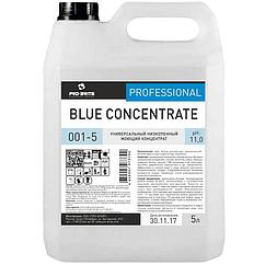 BLUE CONCENTRATE Низкопенный моющий концентрат для ежедневной и генеральной уборки