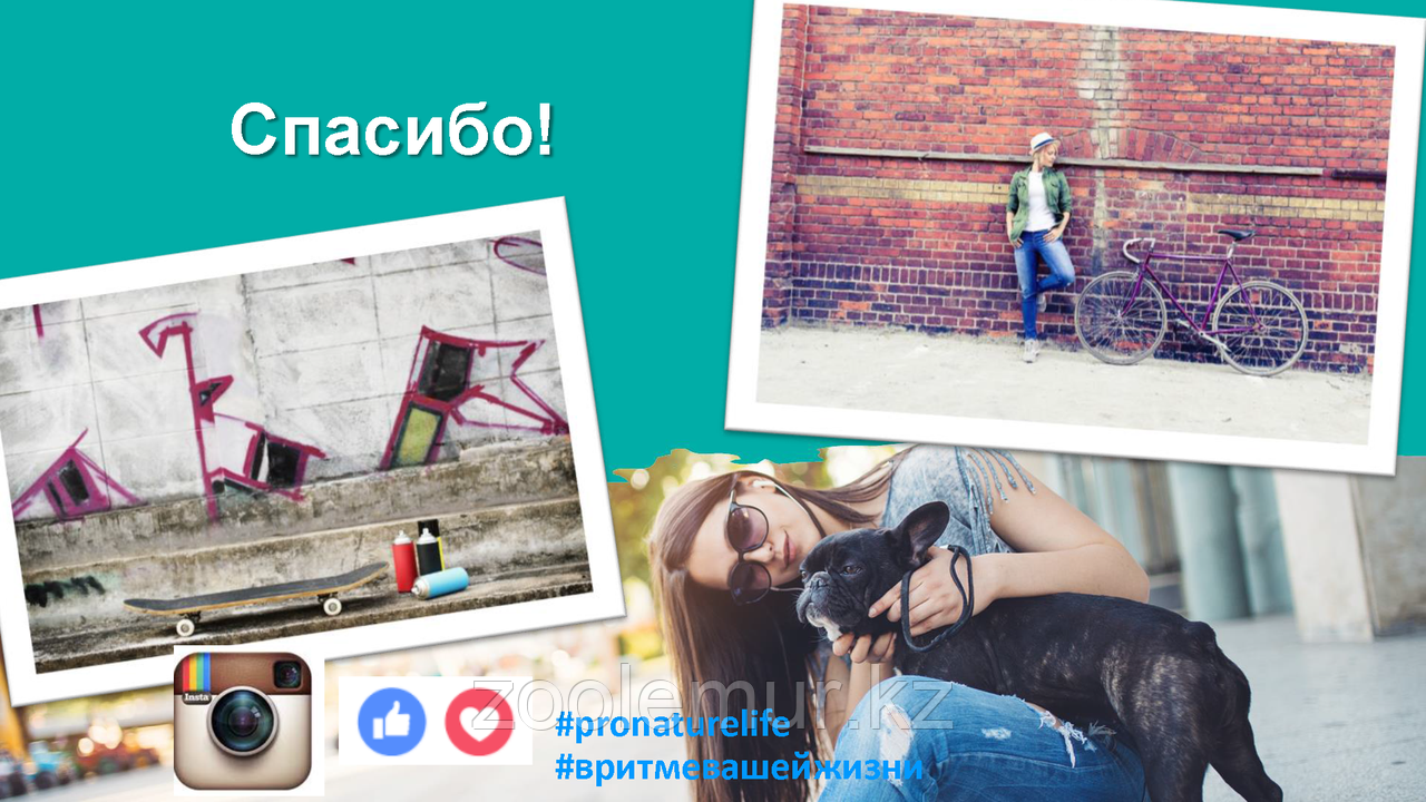 Pronature Life Chill (Пронатюр Лайф Чилл) корм для щенков и собак с индейкой 340 гр - фото 7 - id-p56591934