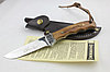 Нож коллекционный Browning Whitetail Legacy F863
