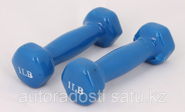 Гантели для фитнеса 1LB Blue