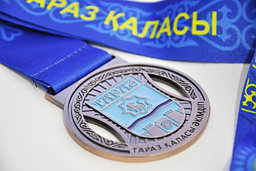 Медаль город Тараз