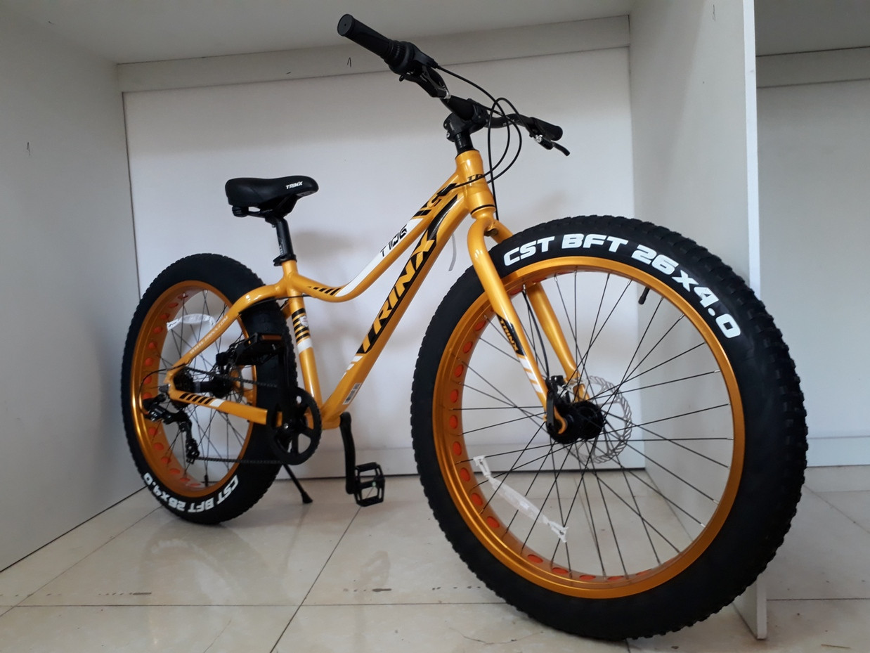 Trinx fat bike t106 hotsell