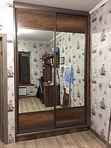 Шкафы-купе ЛДСП, фото 3