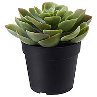 Искусственное растение в горшке ФЕЙКА Суккулент ИКЕА, IKEA 603.953.05 Искусственное растение в горшке ФЕЙКА Суккулент ИКЕА, IKEA