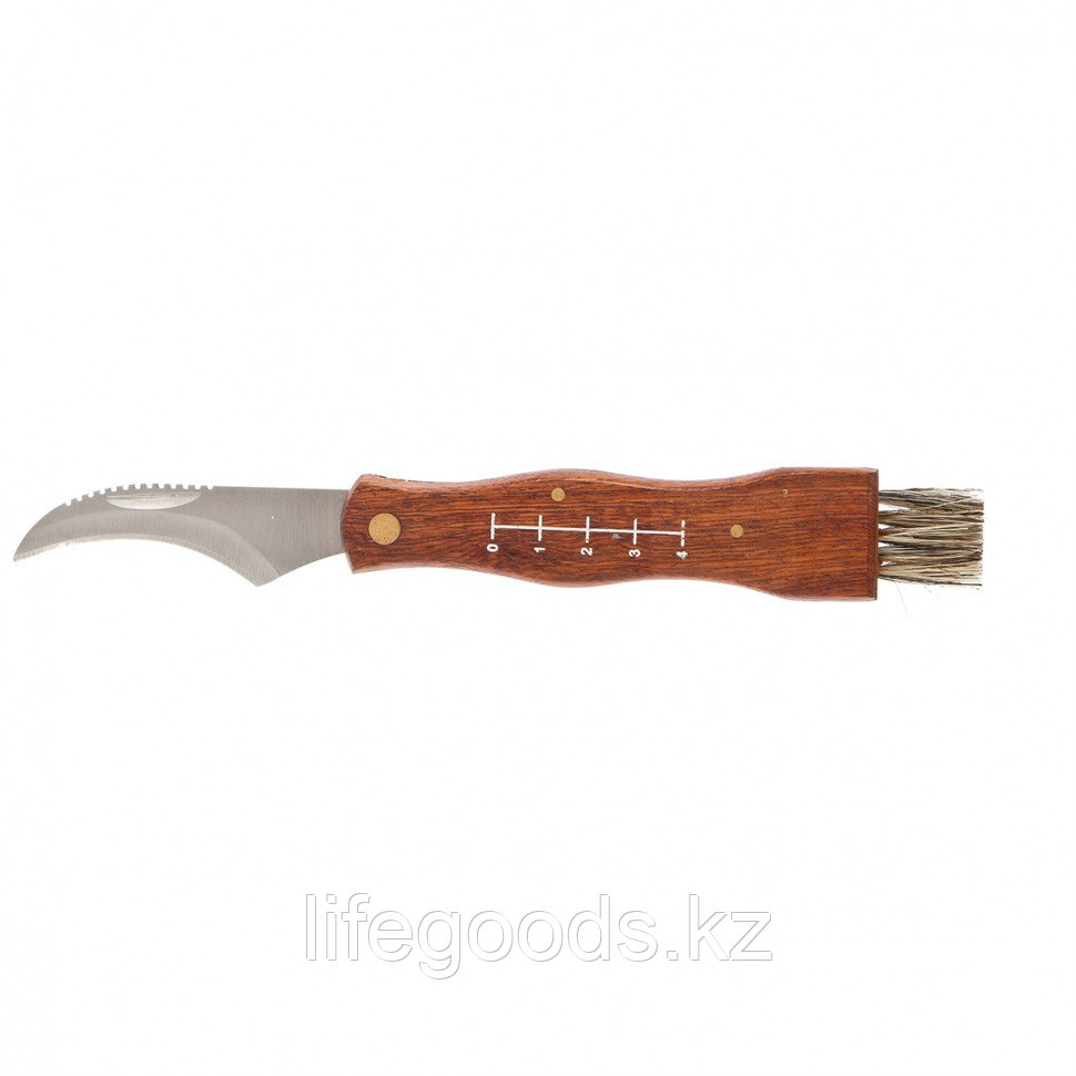 Нож грибника большой, деревянная рукоятка Palisad 79005 - фото 1 - id-p66874844