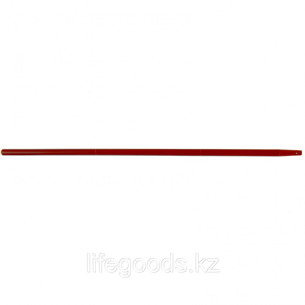 Черенок Элит вишня, 25 Palisad 68448