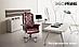 Офисное массажное кресло EGO PRIME V2 EG1003 модификации PRESIDENT XXL, фото 3