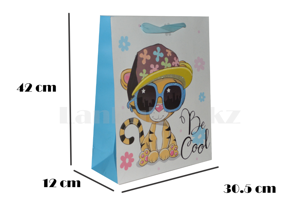 Подарочный пакет 3D тигрёнок в очках - фото 2 - id-p67099861