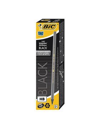 Карандаш чернографитовый BIC Evolution ECOlutions Black HB, пластиковый корпус - фото 1 - id-p67225681