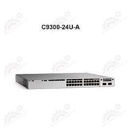 Catalyst 9300 24-port UPOE, Network Advantage