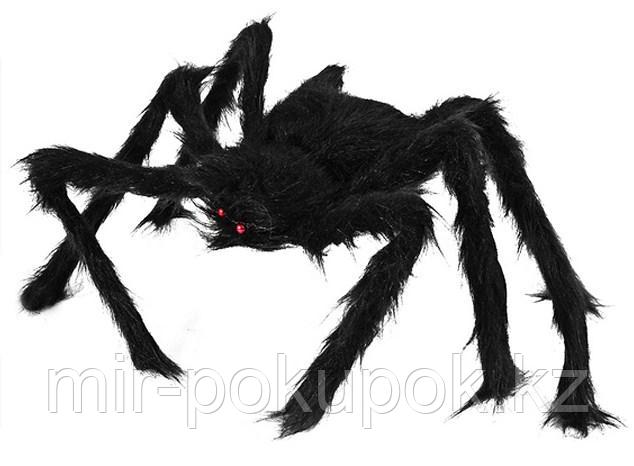 Большой мохнатый черный паук (декорации для Хэллоуина, 70 см - фото 2 - id-p67309241