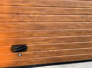 Золотой дуб