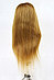 Голова-манекен с торсом русый волос натуральный (85%) - 70 см, фото 4