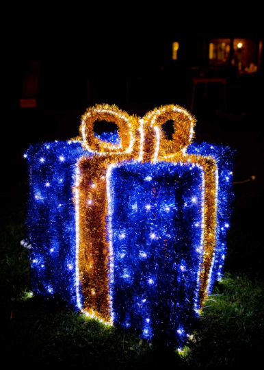 Световая композиция Новогодний Подарок 75 см (с мишурой и гирляндой) - 3D SE 54-75