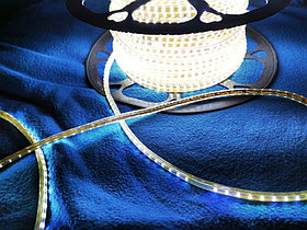 Жарықдиодты жолақ SMD 3014 220v IP67