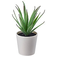 Искусственное растение в горшке ФЕЙКА Суккулент ИКЕА, IKEA 803.953.14 Искусственное растение в горшке ФЕЙКА Суккулент ИКЕА, IKEA