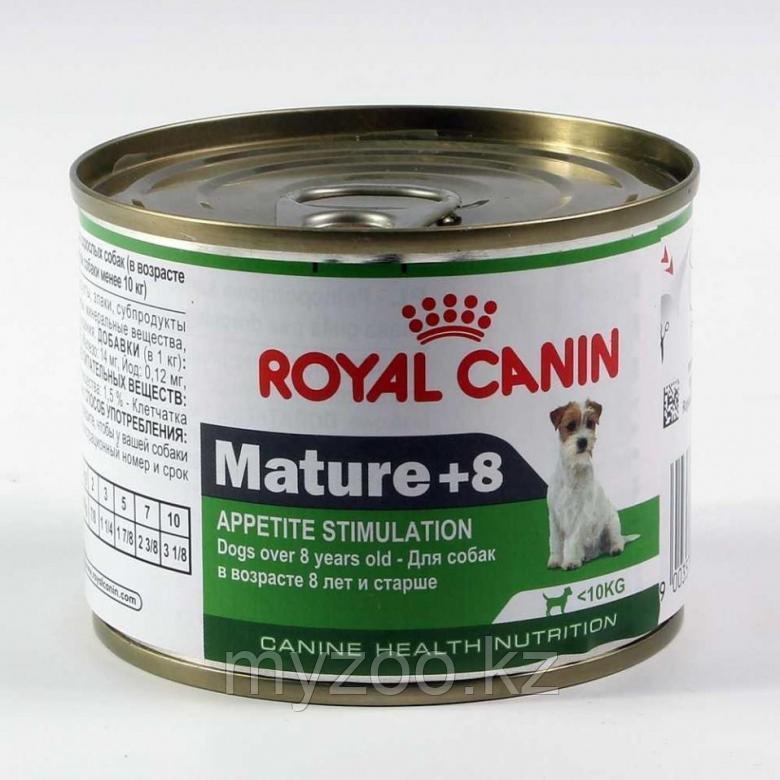 Влажный корм для стареющих собак мелких пород Royal Canin MINI MATURE +8, 195 g