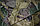 Плащ дождевик  с козырьком в чехле 1107 камуфляжный милитари, фото 8