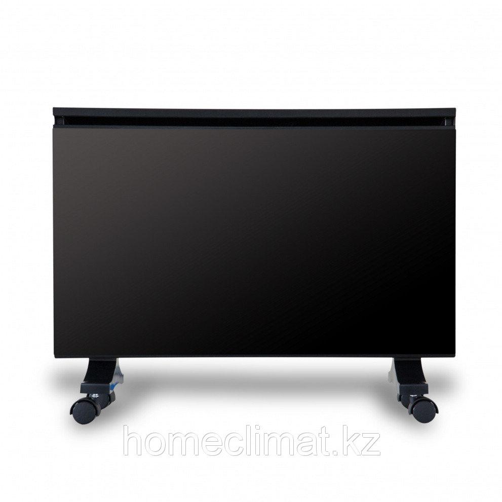 Теплофон Binar 1000 ЭРГ/ЭВНАП 1,0