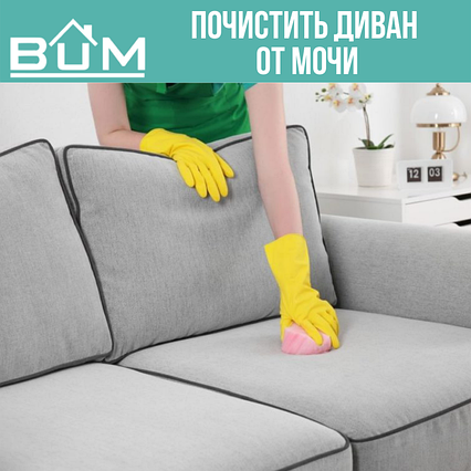 Почистить диван от кошачьей мочи