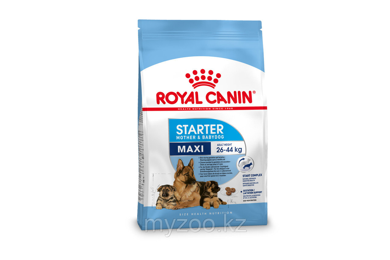 Корм для беременных и кормящих собак крупных пород Royal Canin MAXI STARTER M&B 15 kg