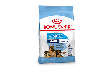 Корм для беременных и кормящих собак крупных пород Royal Canin MAXI STARTER M&B 15 kg