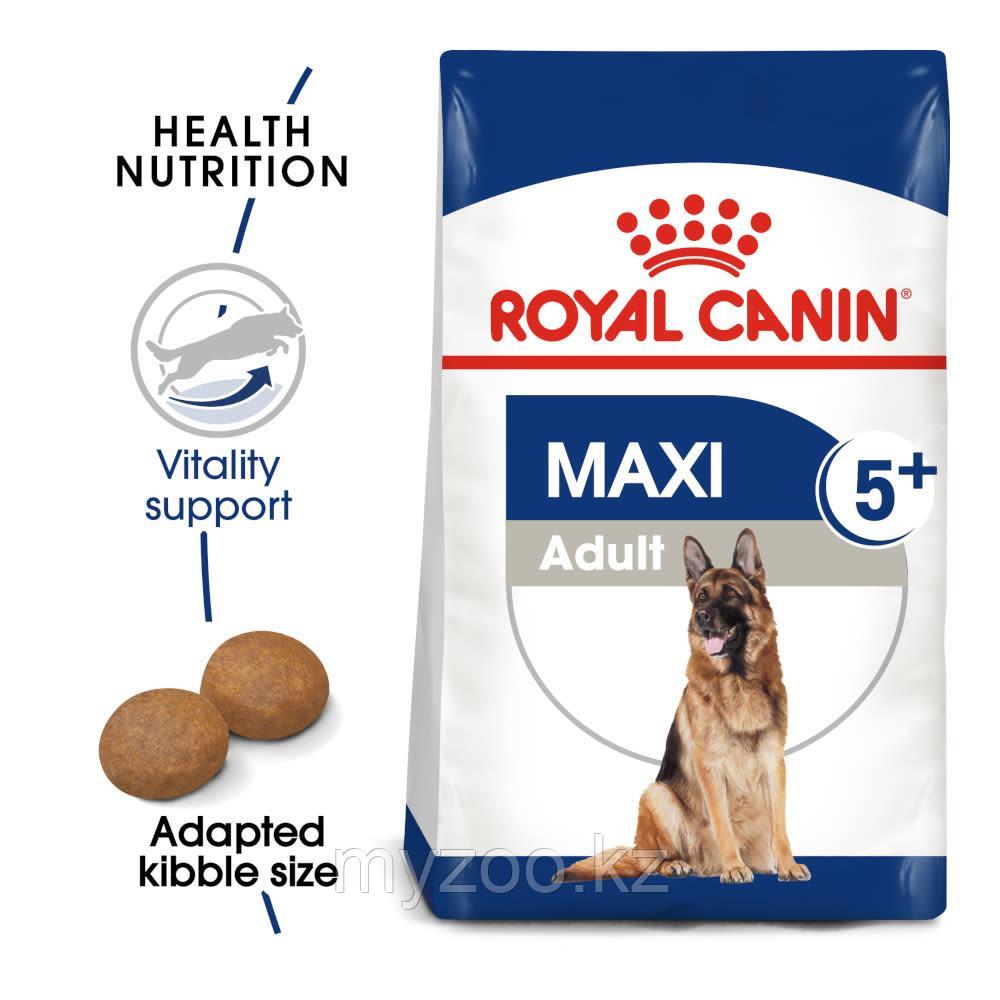 Корм для собак крупных пород старше 5 лет Royal Canin MAXI ADULT 5+15 kg.