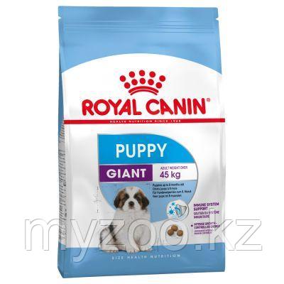 Royal Canin GIANT PUPPY PRO 17 kg. Корм для щенков гигантских пород