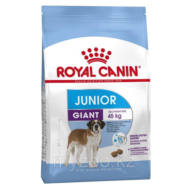 Royal Canin GIANT JUNIOR для щенков гигантских пород , 15 кг