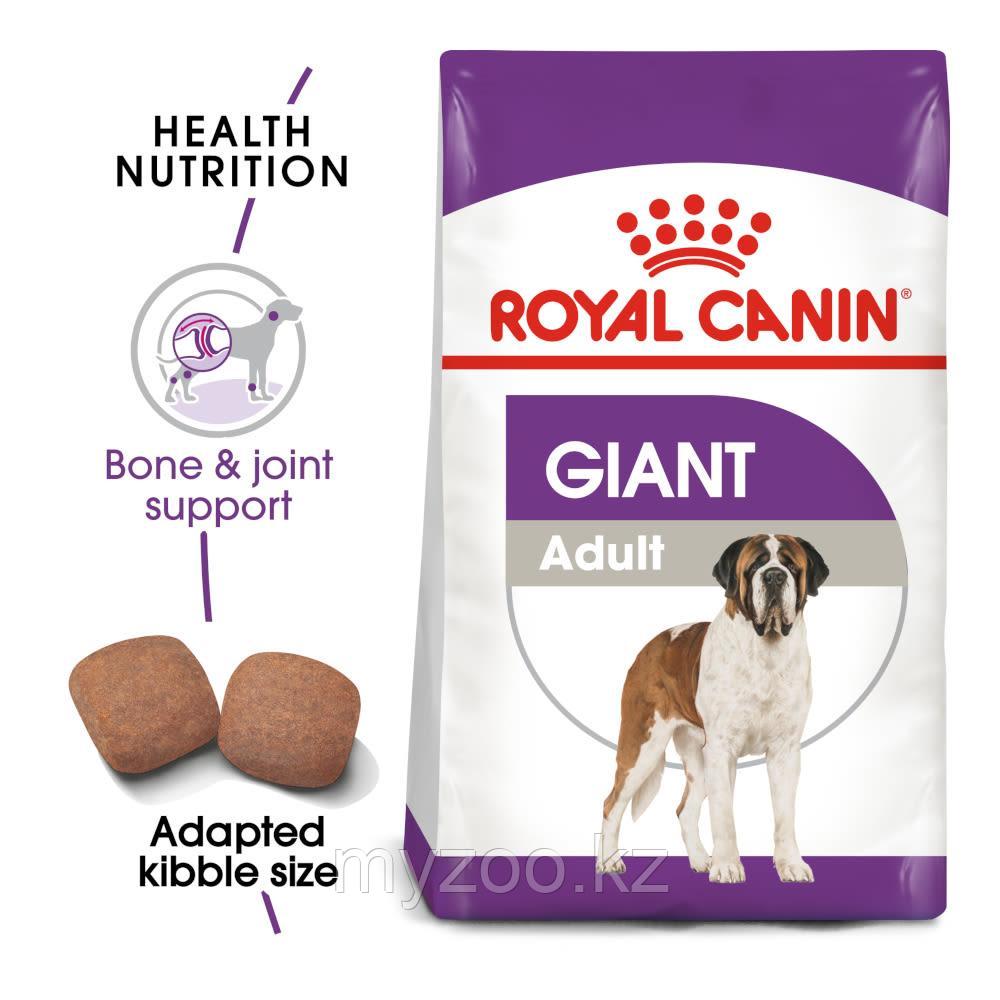 Сухой корм для собак Royal Canin GIANT ADULT PRO 20 kg.