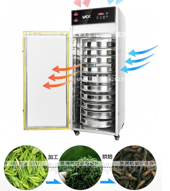 Орыс порно қыздар