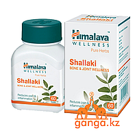 Шаллаки Здоровье Суставов (Shallaki HIMALAYA), 60 таб.