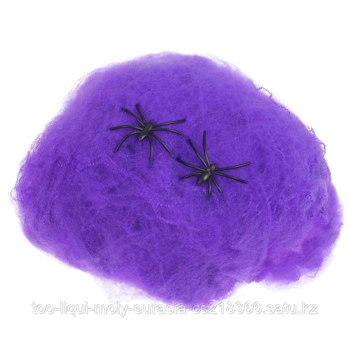 Прикол "Фиолетовая паутина" 2 паука - фото 2 - id-p67548890