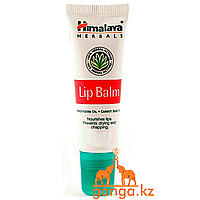 Бальзам для губ (Lip Balm HIMALAYA), 10 г.