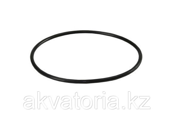 ORING-BB FILTER HOUSING Кольцо уплотнительное для корпуса BIG BLUE