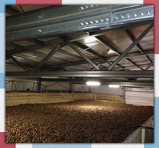 Овощехранилище