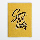 Блокнот в PVC обложке "Sorry, ай эм вери busy", + кармашек для мелочей, A5, 20 листов, фото 5