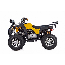 Квадроцикл Raptor Max Pro 250 cc (желтый/камуфляж), фото 3