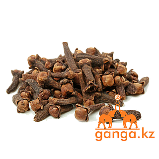 Армян порно Мастурбация жоптың фотосы