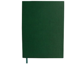 Ежедневник формата B5 DeLuxe (ДэЛюкс) зеленый