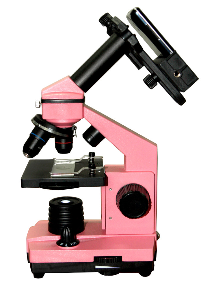 Микроскоп Levenhuk Rainbow 2L PLUS, с адаптером для смартфона, фото 1