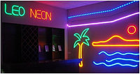 Гибкий неон, Flex Neon флекс неон, холодный неон, неоновый шнур, фото 2