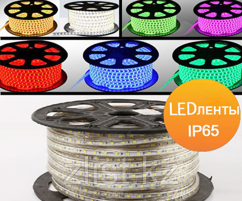 ПВХ қаптамасындағы SMD 3528, 220 v жарықдиодты жолақ., фото 1