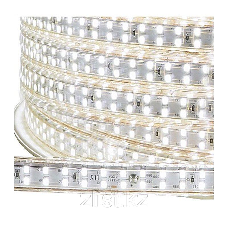 LED лента SMD 3014, 220 v, 240 диодов в пвх оболочке - фото 2 - id-p67676166