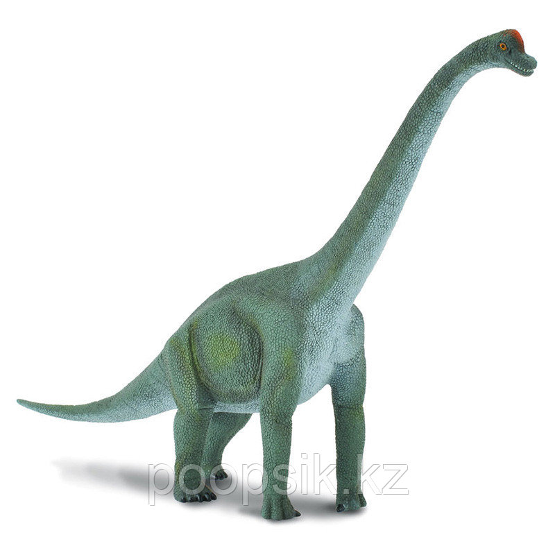 Брахиозавр, L 23 см - фото 1 - id-p67723742