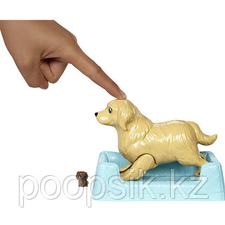 Жыныстық шытырман оқиғаларды қараңыз