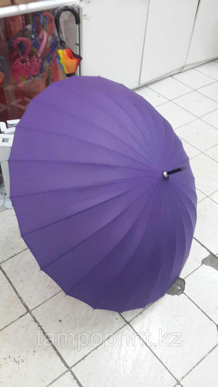 Зонты фиолетовые