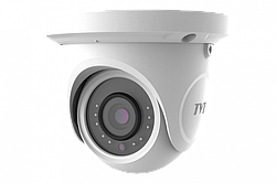 Сетевая IP камера купольная TVT TD-9524S1 (D/PE/AR1)